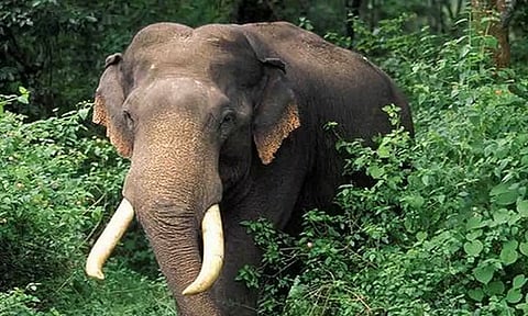 கோப்புபடம். 