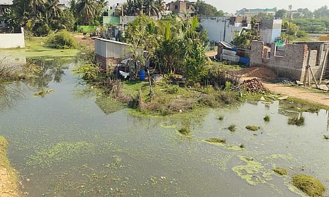 கடலூர் தேவனாம்பட்டினம் கேகே நகர் பகுதியில் குடியிருப்புகளை குலம் போல சூழ்ந்துள்ள பாதாள சாக்கடை கழிவுநீர்.