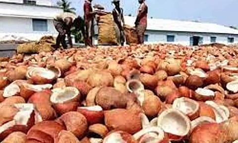 வெள்ளகோவிலில் ரூ. 38 லட்சத்திற்கு தேங்காய் பருப்பு ஏலம்