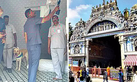 ஜனாதிபதி திரவுபதி முர்மு வருகை: மதுரையில் வரலாறு காணாத பாதுகாப்பு ஏற்பாடுகள்- டிரோன்கள் பறக்க தடை