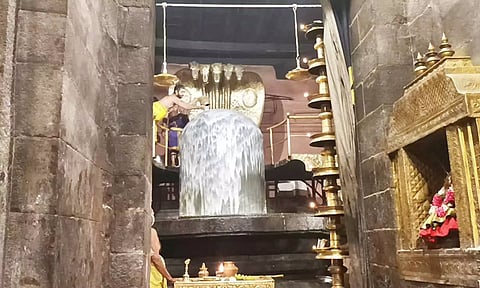 தஞ்சை பெரிய கோவிலில் பெருவுடையாருக்கு பாலாபிஷேகம் செய்யப்பட்டது.