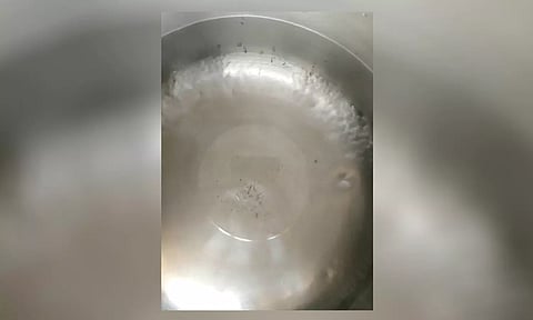 குடிநீரில் புழுக்கள் இருப்பதை படத்தில் காணலாம். 