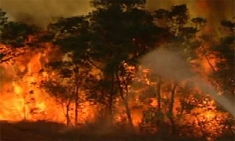 திருவண்ணாமலை கவுத்தி மலையில் பற்றி எரிந்த திடீர் தீ