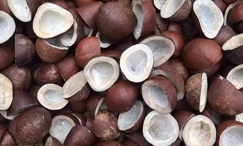 முத்தூா் ஒழுங்குமுறை விற்பனைக்கூடத்தில் 3.50 டன் தேங்காய்,கொப்பரை விற்பனை