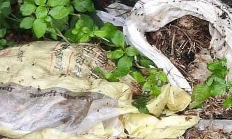 பல்லடம் அருகே குட்டையில் வீசப்படும் கோழிக்கழிவுகள்