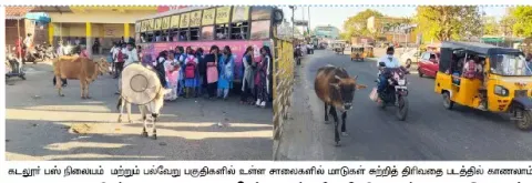 கடலூரில் சாலையில் சுற்றி திரியும் மாடுகள் : பொதுமக்களை முட்டி அச்சுறுத்தி வருவதால் பீதி