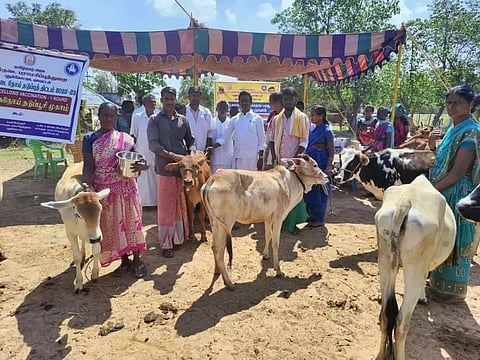 கால்நடை மருத்துவ முகாம்