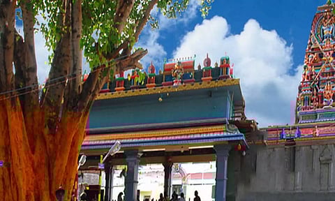 மாரியம்மன் கோவிலில் புதிய தேர் வெள்ளோட்டம் - நாளை நடக்கிறது