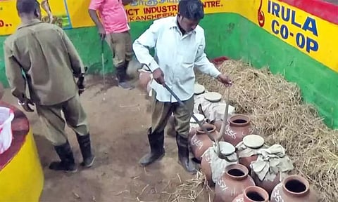 பாம்பு பிடிக்கும் பணி நிறுத்தம்: இருளர்கள் வாழ்வாதாரம் பாதிப்பு