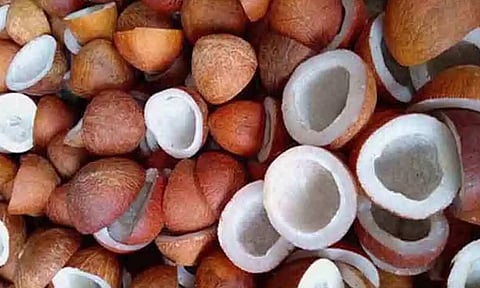 கோப்புபடம். 