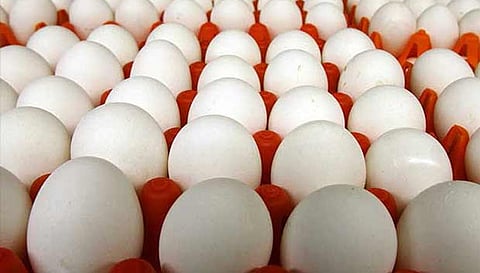 நாமக்கல் மண்டலத்தில் முட்டை விலை மேலும் 10 காசுகள் உயர்வு