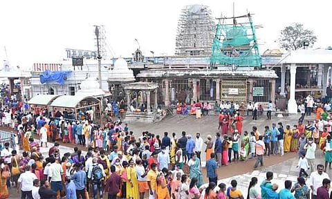 பழனி ஆண்டவனுக்கு காணியும்... காணிக்கையும்...