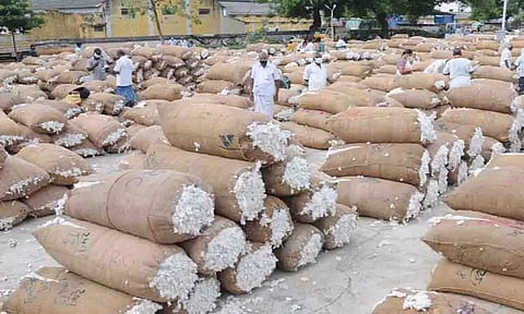 கோப்புபடம்.