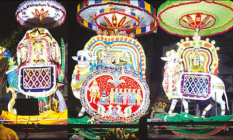 சுவாமி-அம்பாள் ரிஷபவாகனத்தில் எழுந்தருளி காட்சி கொடுத்த போது எடுத்தபடம்.