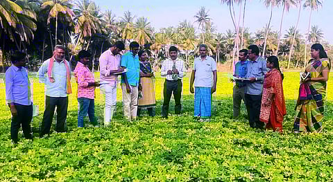 விதைச்சான்று அலுவலர்களுக்கு பயிற்சி