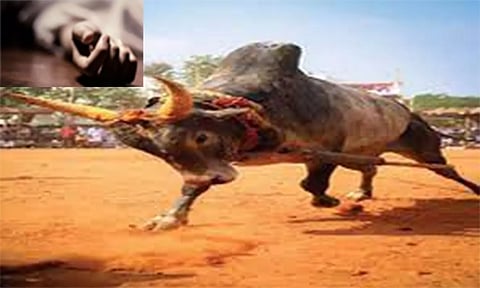 மாடு விடும் விழாவில் காளை மிதித்து முதியவர் சாவு