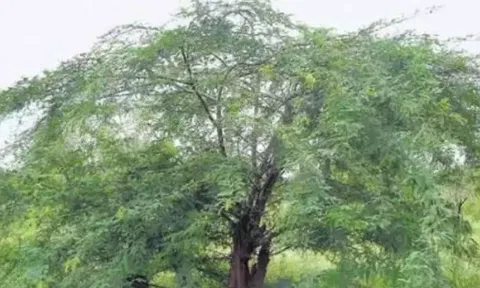 கோப்புபடம். 