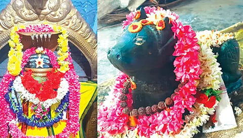கோப்பணம்பாளையம் பரமேஸ்வரர், நந்தி பெருமான் சிறப்பு அலங்காரத்தில் அருள்பாலித்த காட்சி.