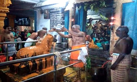 விழாவில் நந்திக்கு சந்தன அபிஷேகம் நடைபெற்ற காட்சி.