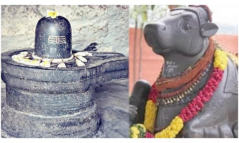 திருவாரூர் பகுதி கோவில்களில் சனிபிரதோஷ வழிபாடு