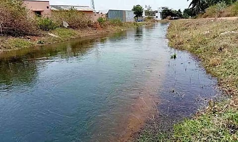 கோப்புபடம்.