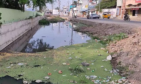 ஓடையில் தேங்கும் கழிவுநீரை படத்தில் காணலாம்.