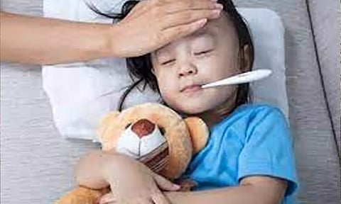 வேலூரில் புளூ காய்ச்சல் பாதிப்பு இல்லை