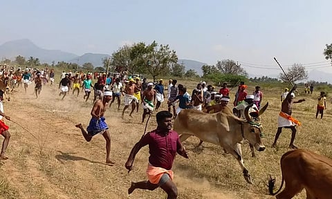 தம்பிரான் ஓட்டத்தில் கலந்து கொண்ட வீரர்களை படத்தில் காணலாம்.
