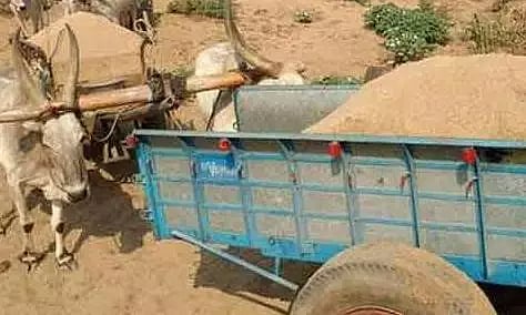 மாட்டு வண்டிகள் பறிமுதல்