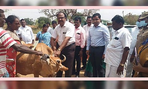 கால்நடை தடுப்பூசி முகாம் நடைபெற்றபோது எடுத்த படம்.