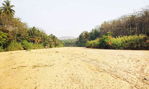 நீர்வரத்து இல்லாததால் வறண்டு கிடக்கும் மூல வைகையாறு.