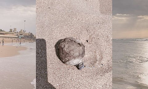 திருச்செந்தூர் கடற்கரை அருகே கிடந்த மர்ம பொருளால் பரபரப்பு- வெடி பொருளா? போலீசார் விசாரணை