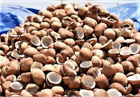 அடுத்த மாதம் முதல் கொப்பரை கொள்முதல்