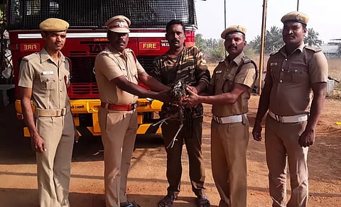 கிணற்றுக்குள் விழுந்த மயில் உயிருடன் மீட்பு