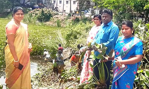 வெங்காய தாமரை செடிகள் அகற்றும் பணி நடந்தது.