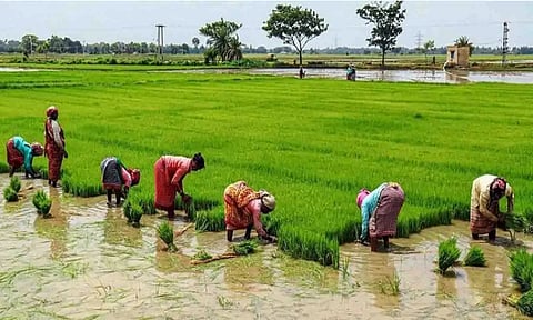 கோப்புபடம்.