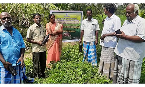 வேளாண் தொழில்நுட்ப மேலாண்மை முகமை மூலம் காட்டுப் பன்றிகளை விரட்டும் செயல் விளக்கம் நிகழ்ச்சி நடைபெற்ற காட்சி.