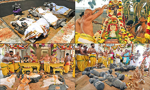 ஸ்ரீ பத்மாவதி தாயார் சிலை இன்று காலை பிரதிஷ்டை: நாளை கும்பாபிஷேகம்