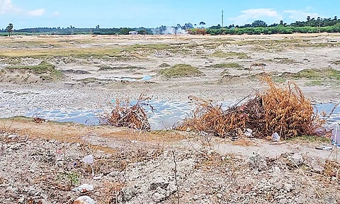 தண்ணீர் இல்லாமல் வறண்டு கிடக்கும் குலசேகரன்பட்டினம் தருவைகுளம்.