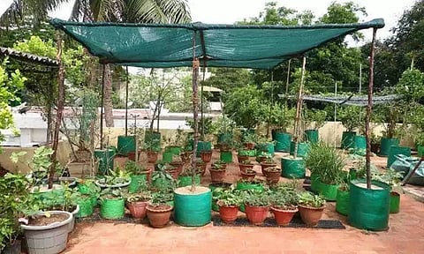 கோப்புபடம்.