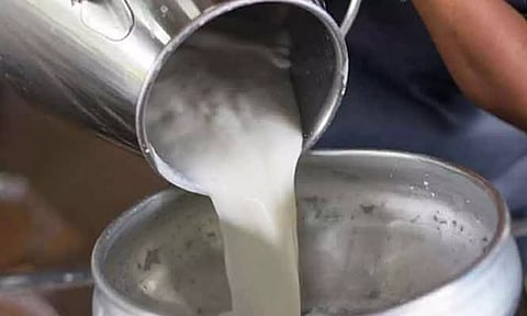 சேலத்தில் எந்தவிதமான இடையூறும் இல்லாமல் தொடர்ந்து பால் கொள்முதல் நடக்கிறது- ஆவின் நிர்வாகம்
