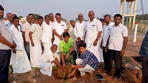 மரக்கன்றுகள் நடப்பட்ட காட்சி. 