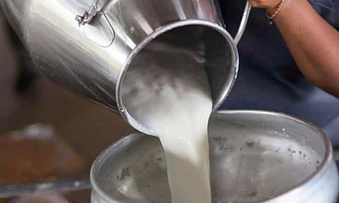 கோப்புபடம். 