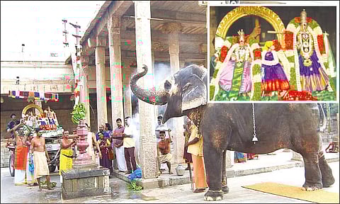 எட்டுத்திக்கு கொடியேற்றம் நடந்தது. (உள்படம்: சிறப்பு அலங்காரத்தில் உற்சவர்கள் ஜம்புகேஸ்வரர், அகிலாண்டேஸ்வரி)