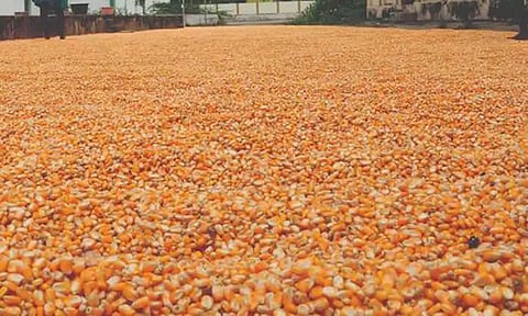 கோப்புபடம்.