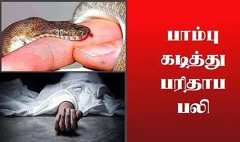 பாம்பு கடித்து தொழிலாளி பலி