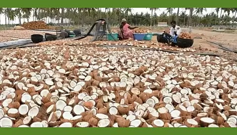குறைந்தபட்ச ஆதார விலையில் தேங்காய் கொப்பரை கொள்முதல்
