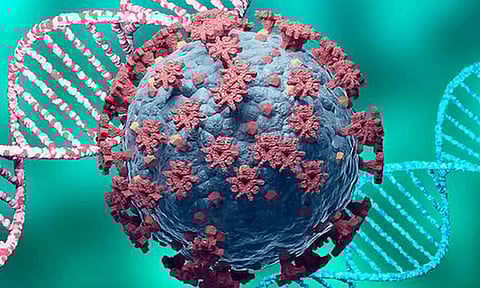 மத்திய சுகாதாரத்துறையினருடன் தமிழக சுகாதாரத்துறை அதிகாரிகள் காணொலியில் இன்று ஆலோசனை