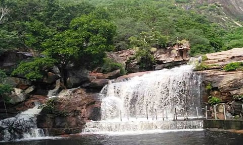 கோப்புபடம்.