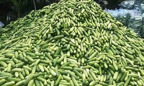 கோப்புபடம்.